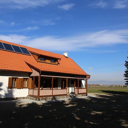 Ezuestfenyo Agroturisztikai Panzio Hotell Borzont Eksteriør bilde